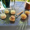 Cakes vaisselle, brosse et recharges