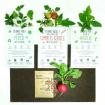 Coffret Mon premier potager