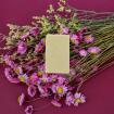 Savon solide Douceur d’Amande – Huile & Lait d’Amande Douce – Peau sensible