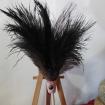 Plumeau en véritable plumes d'autruche collection Saphir