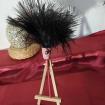 Plumeau en véritable plumes d'autruche collection Topaze Manche rouge