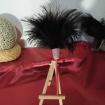 Plumeau en véritable plumes d'autruche collection Topaze Manche rouge