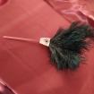Plumeau en véritable plumes d'autruche collection Topaze Manche rouge