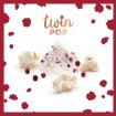 TWINPOP POPCORN BAIES ROSES + SEL DE GUÉRANDE