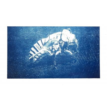 Drôle de bête - lithogravure