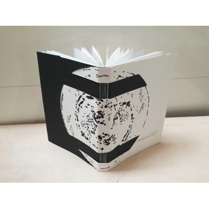 Croquis Virus - livre d'artiste