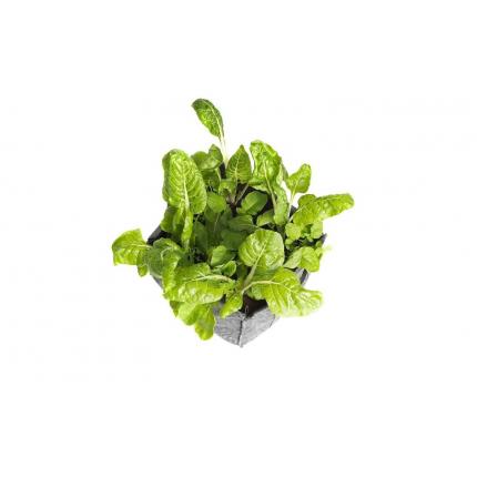 Carré potager géotextile