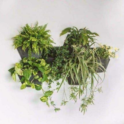 Jardin Vertical géotextile