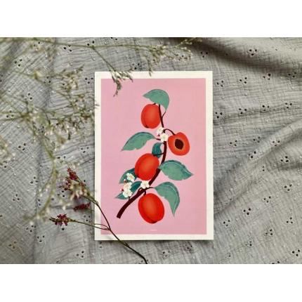 Les Abricots - Affiche A5