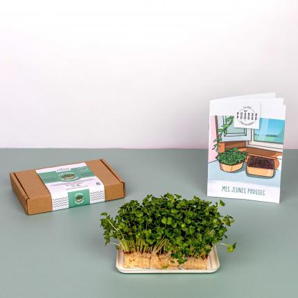 Kit Mes Jeunes Pousses