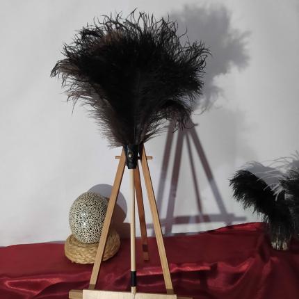 Plumeau en véritable plumes d'autruche collection Cristal