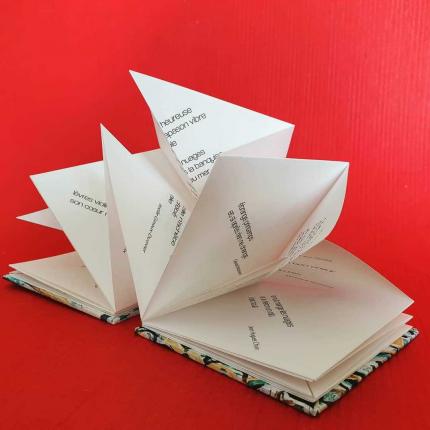 Lucidité - antologie de haikus