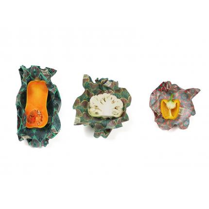 Mix Emballages alimentaires Cosses - L,M,S