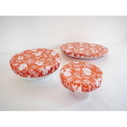 Charlottes alimentaires "cactus"