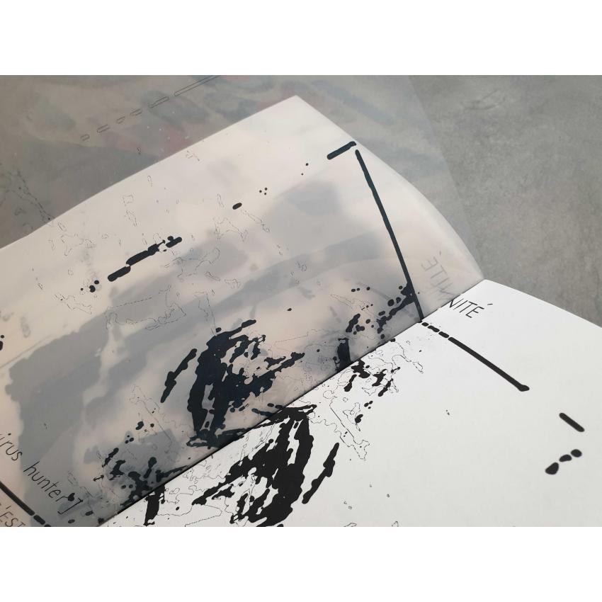 Croquis Virus - livre d'artiste