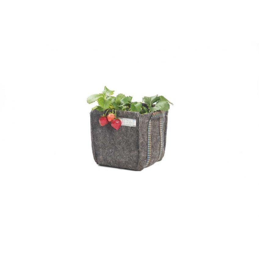 Mini jardinière pour herbes aromatiques