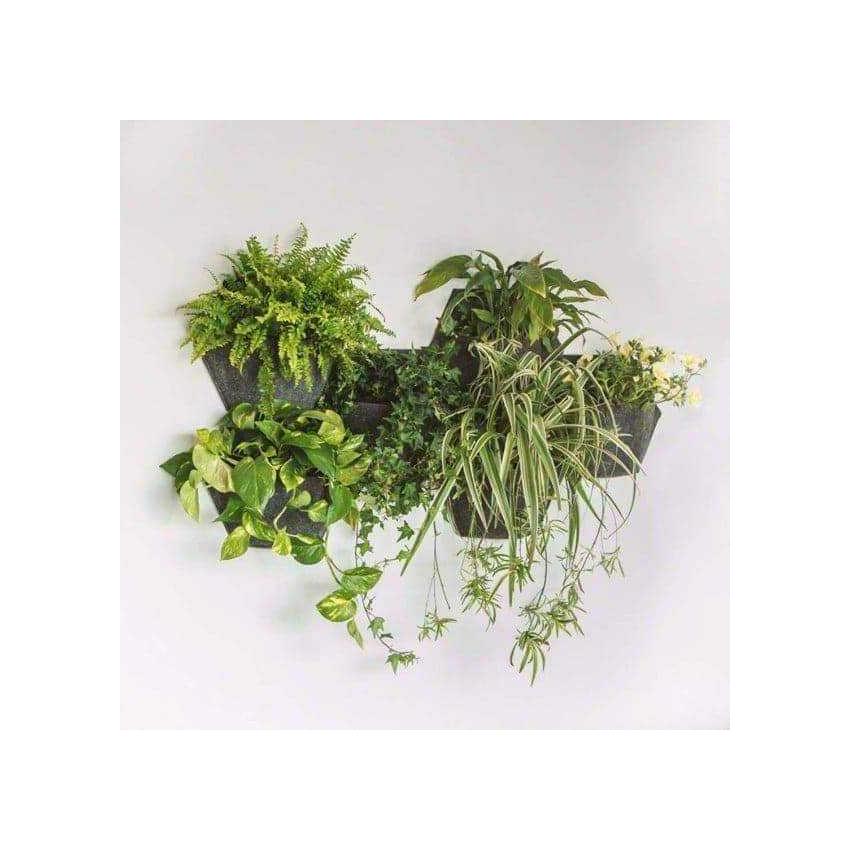 Jardin Vertical géotextile