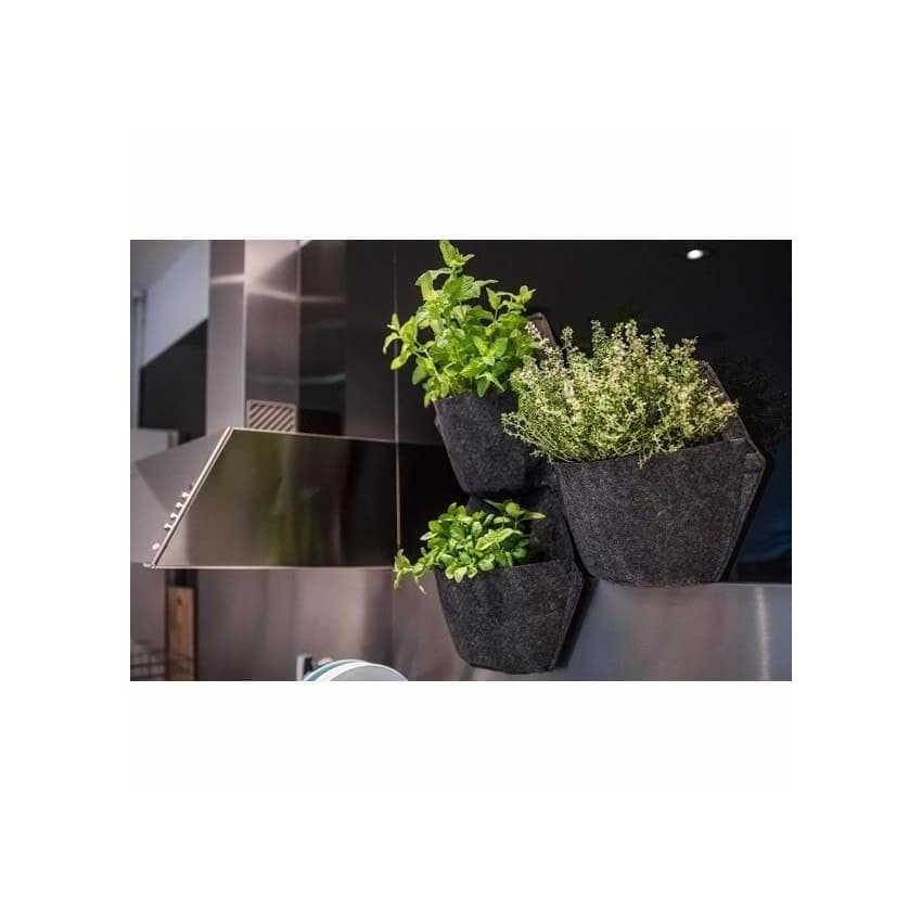 Jardin Vertical géotextile