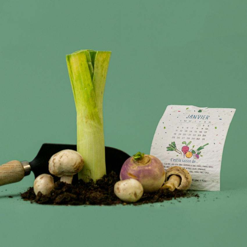 Le calendrier à planter 2021