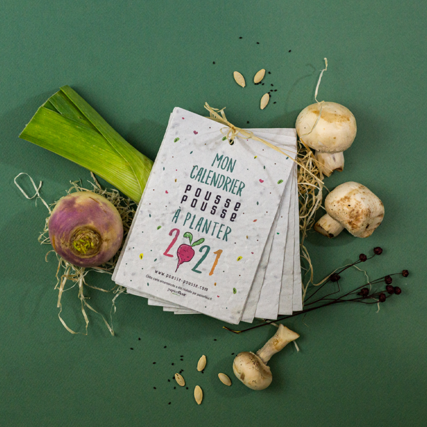 Le calendrier à planter 2021