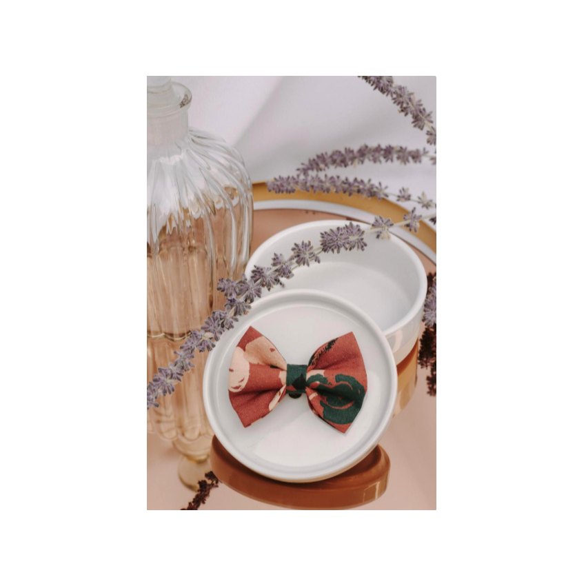 Noeud à clipser imprimé caramel canard et sable