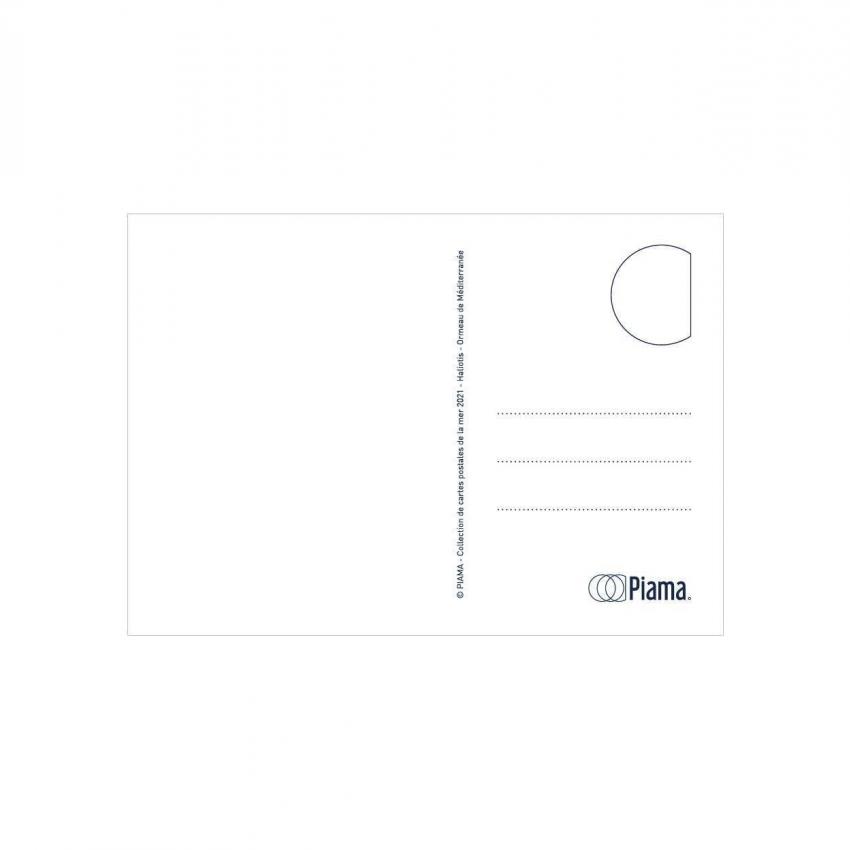 Carte postale HALIOTIS