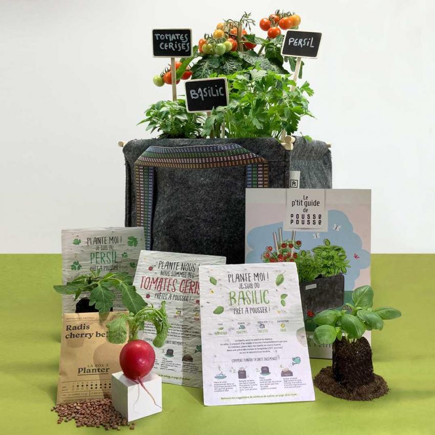 Coffret Mon premier potager