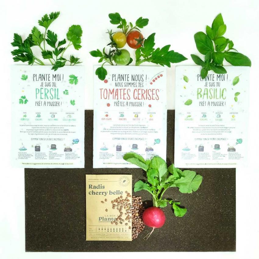 Coffret Mon premier potager