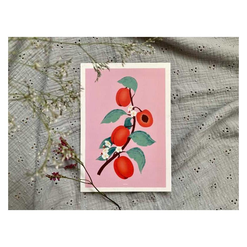 Les Abricots - Affiche A5