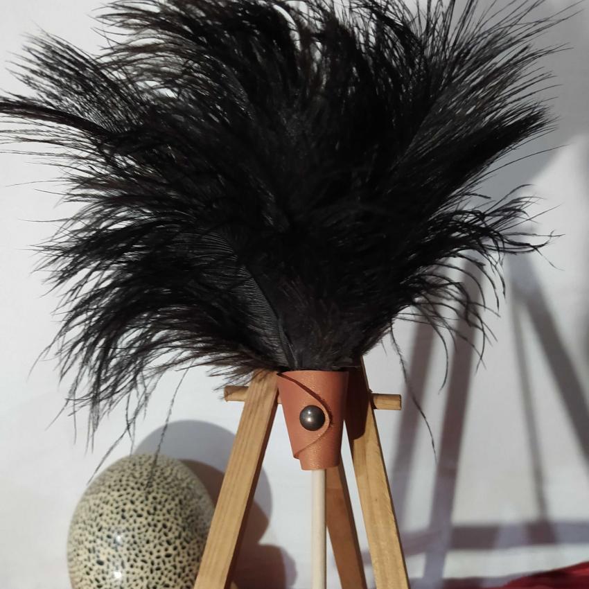 Plumeau en véritable plumes d'autruche collection Saphir