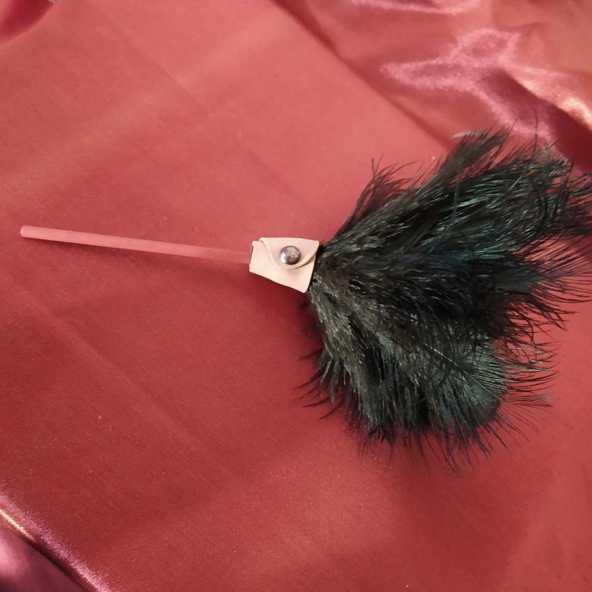 Plumeau en véritable plumes d'autruche collection Topaze Manche rouge