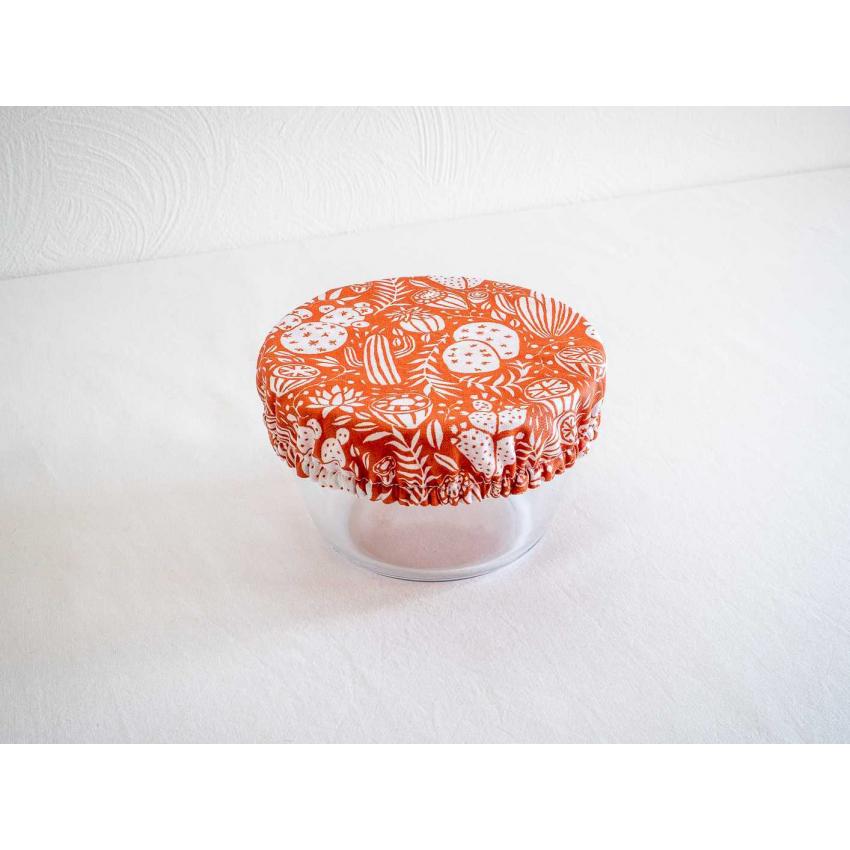 Charlottes alimentaires "cactus"